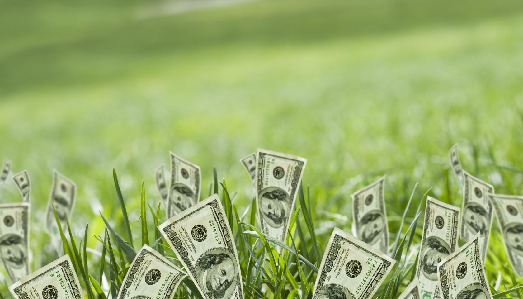 100 dollar bills growing in grass