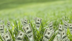 100 dollar bills growing in grass