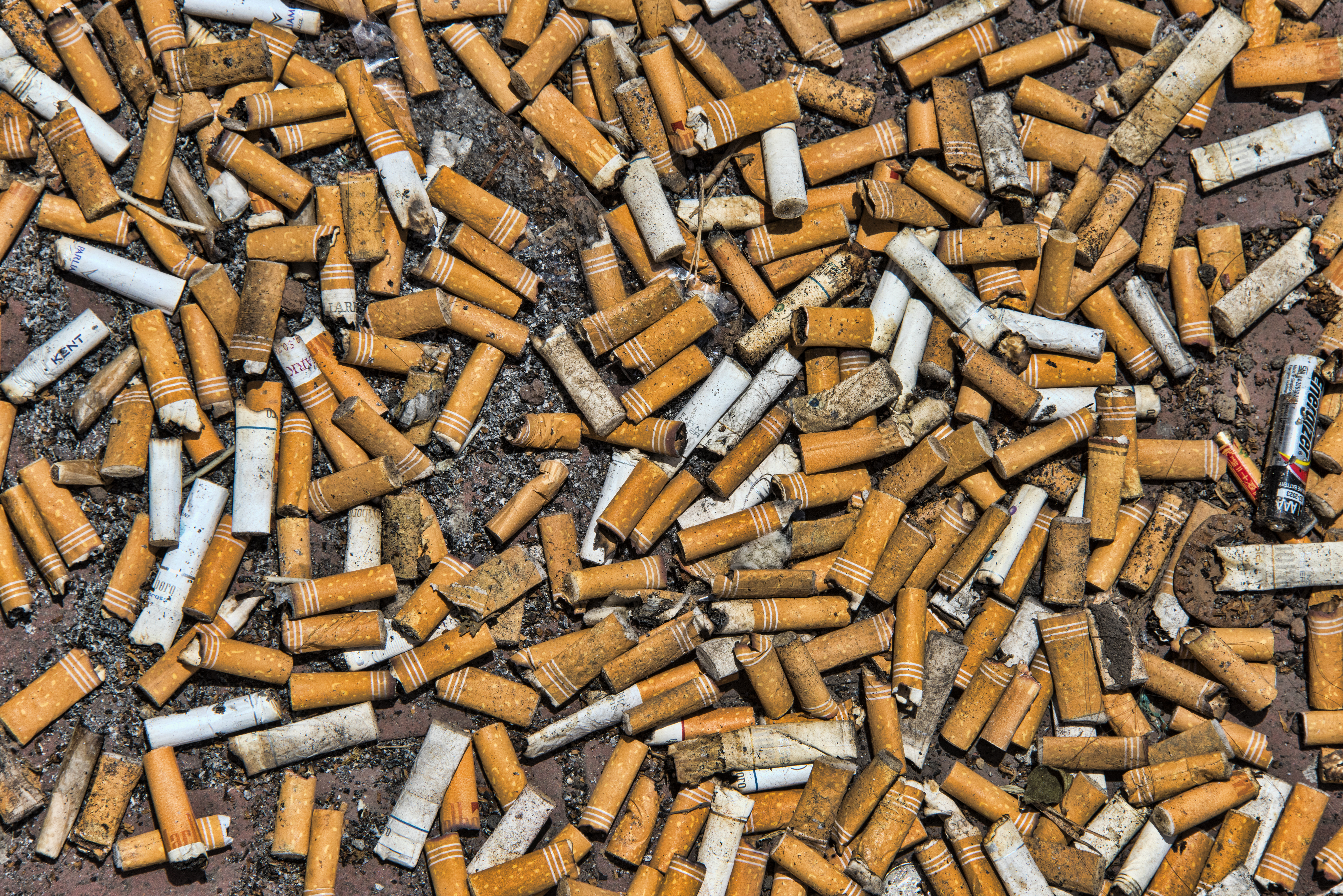 Thousands of cigarette butts on ground