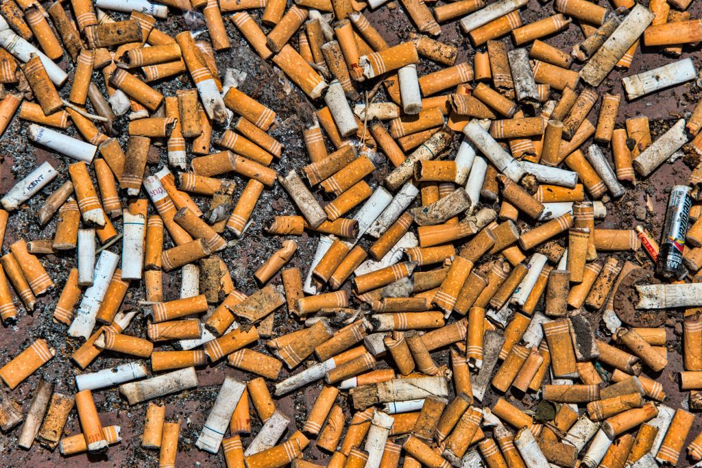 Thousands of cigarette butts on ground