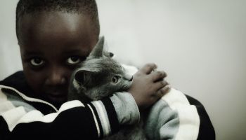 Portrait Of Boy Embracing Cat While Sitting Against Wall