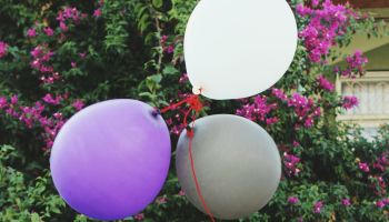 Young Woman Holding Various Balloons Against Flowering Plant