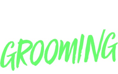 The 2017 Stay Fresh Awards - Grooming Edition