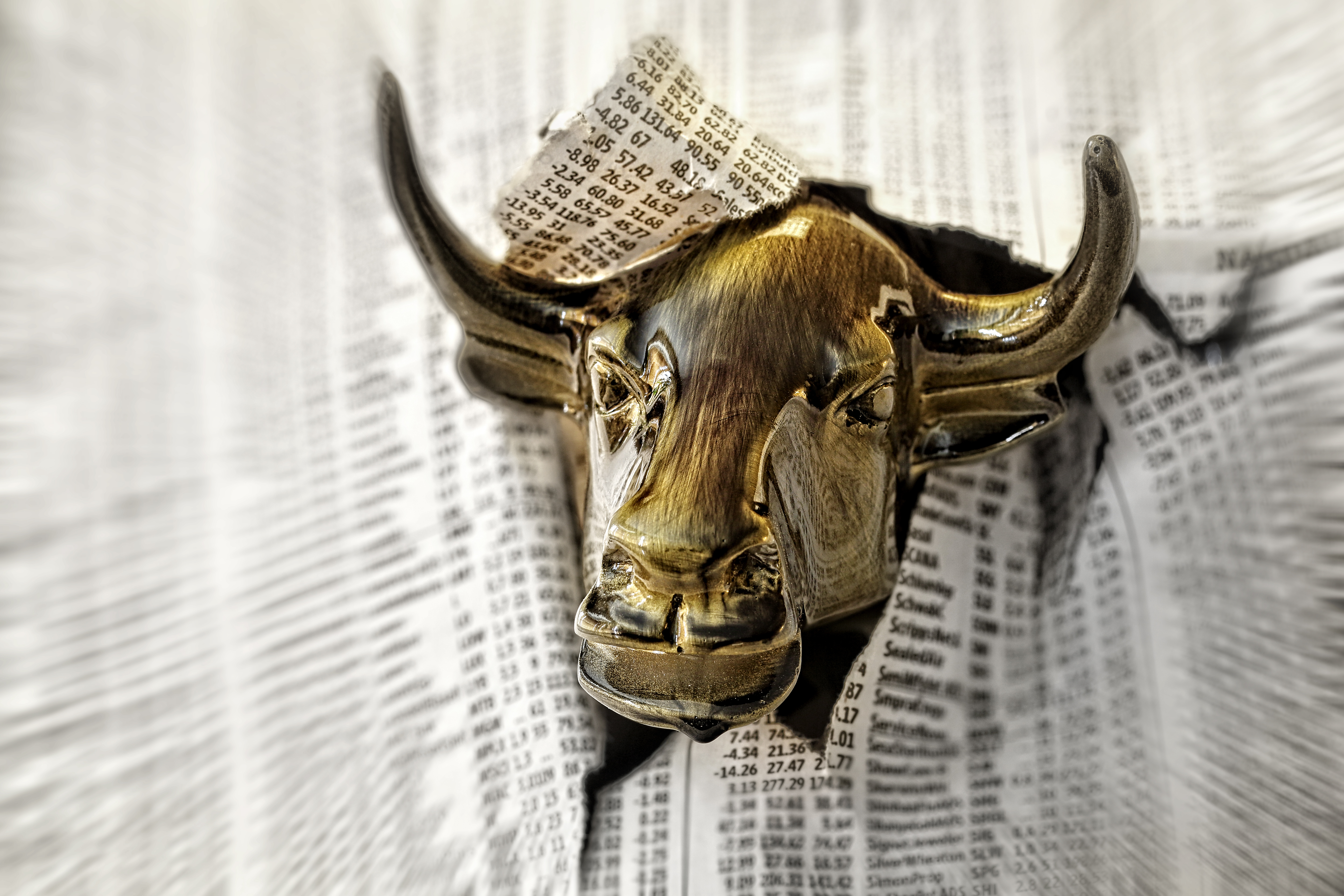 Bull looking through torn page of newspaper