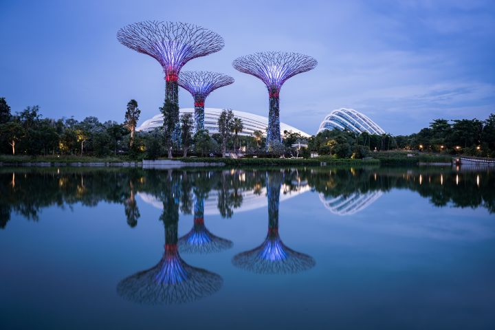 Super tree and the dome with reflection at blue hour
