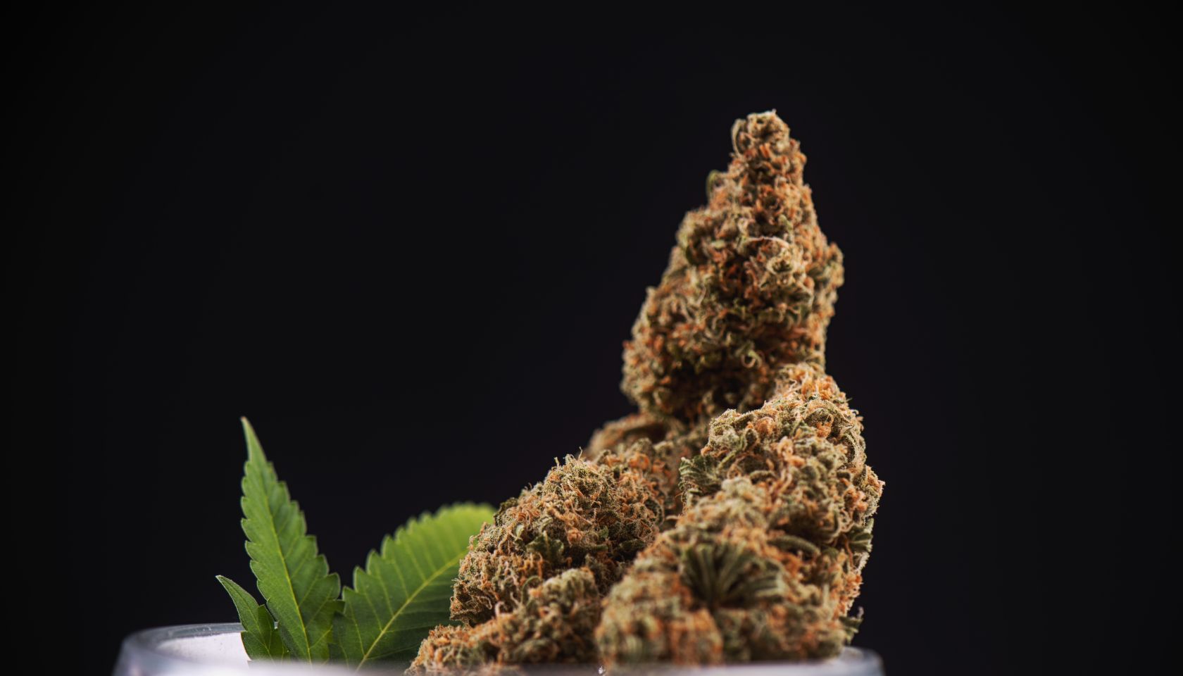 Close-Up Of Drugs In Jar Against Black Background