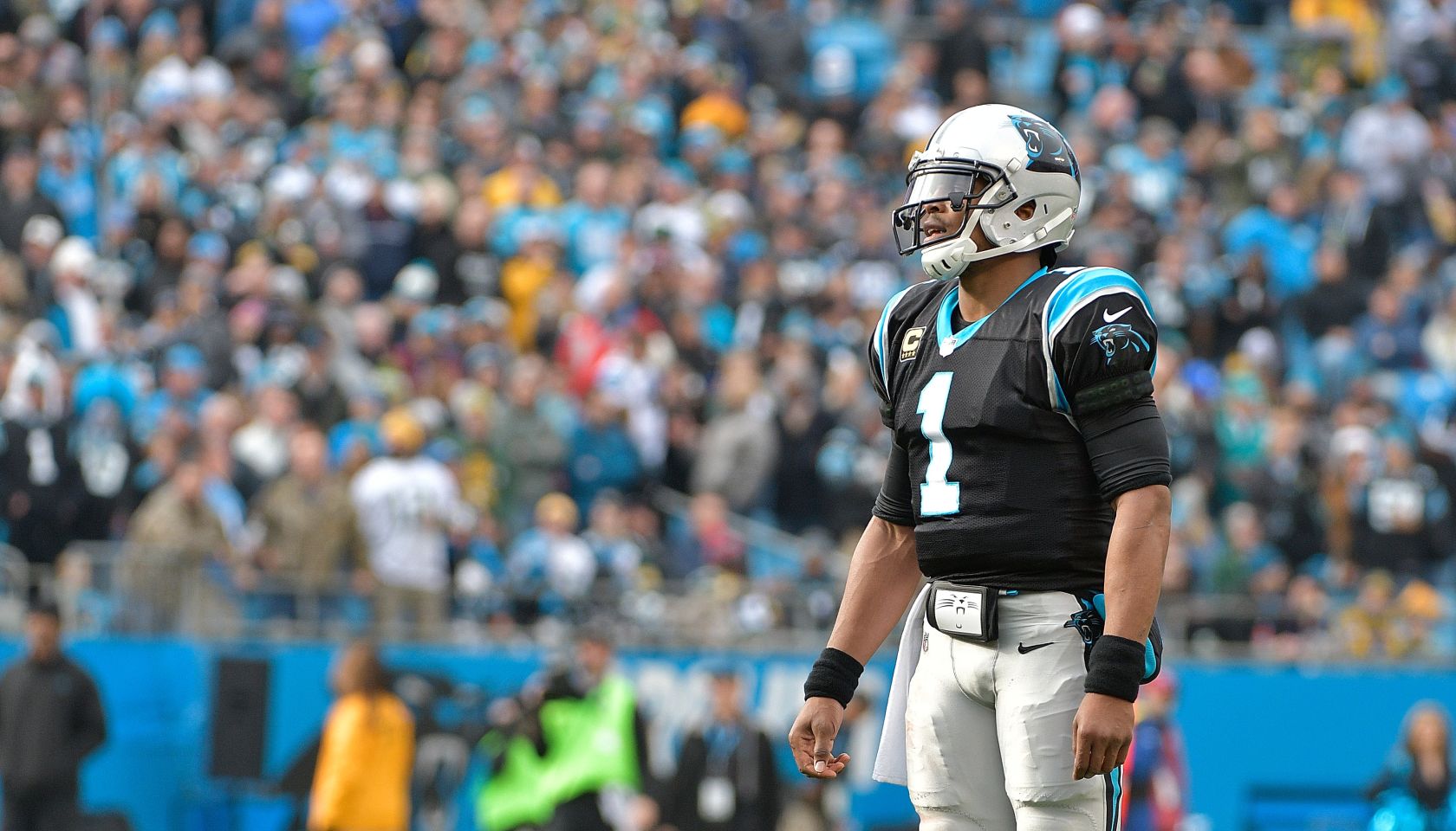 Green Bay Packers v Carolina Panthers
