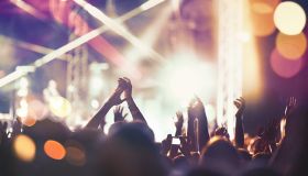 Cheering crowd at a concert.