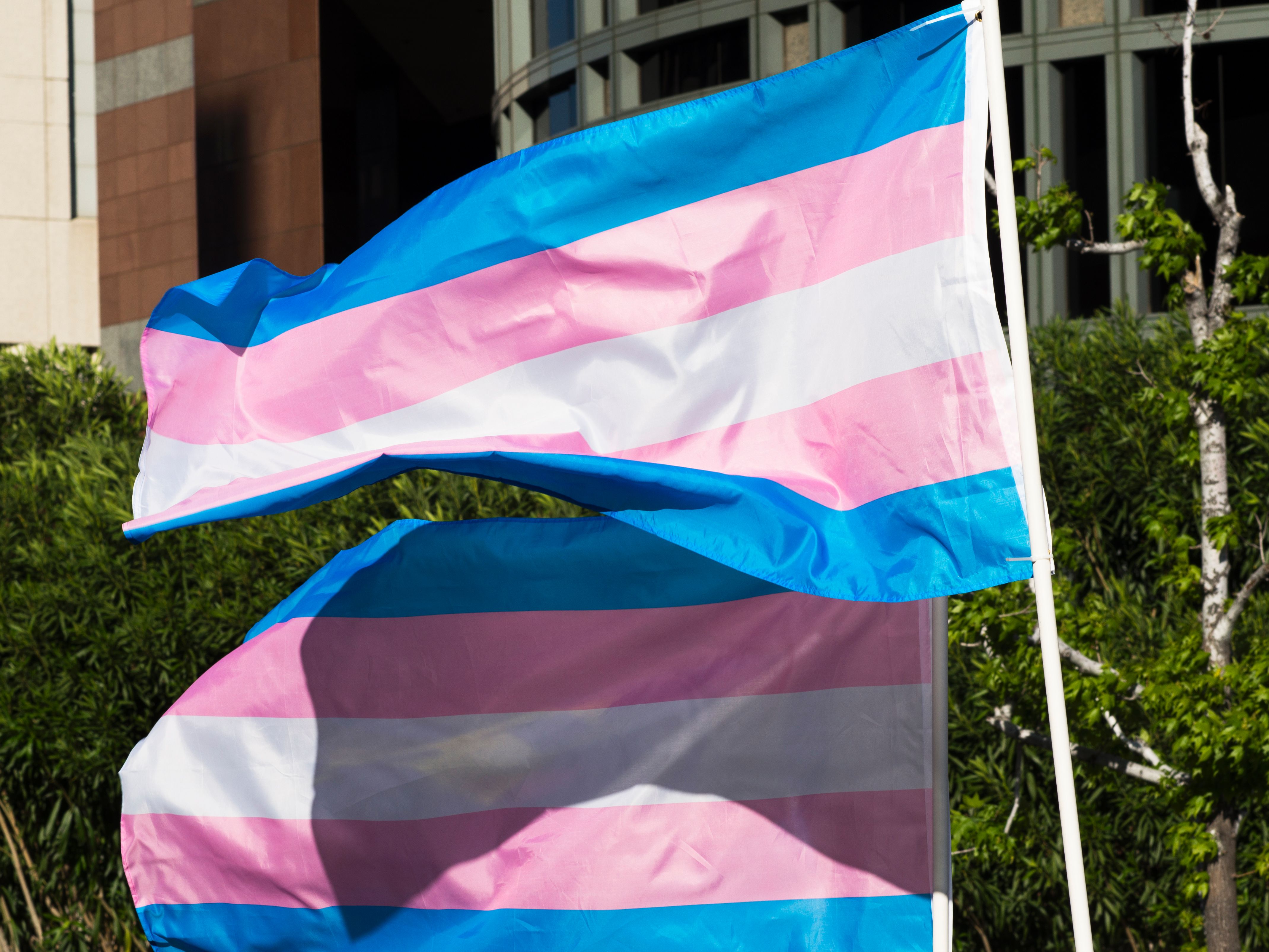 US-TRANSGENDER-DAY-OF-VISIBILITY-GENDER