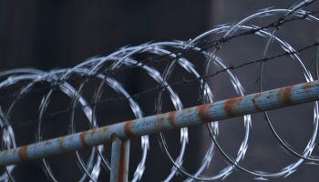 Close-up of Concertina wire on the prison fence