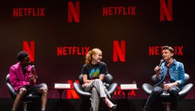 Netflix Original Series 'Stranger Things' Press Conference
