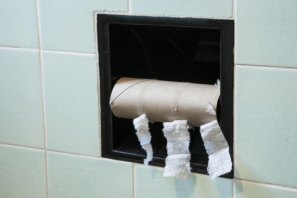 Empty toilet paper roll