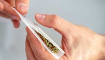 High Angle View Close-up of Young Adult Man Rolling a Marijuana Joint on Gray Background