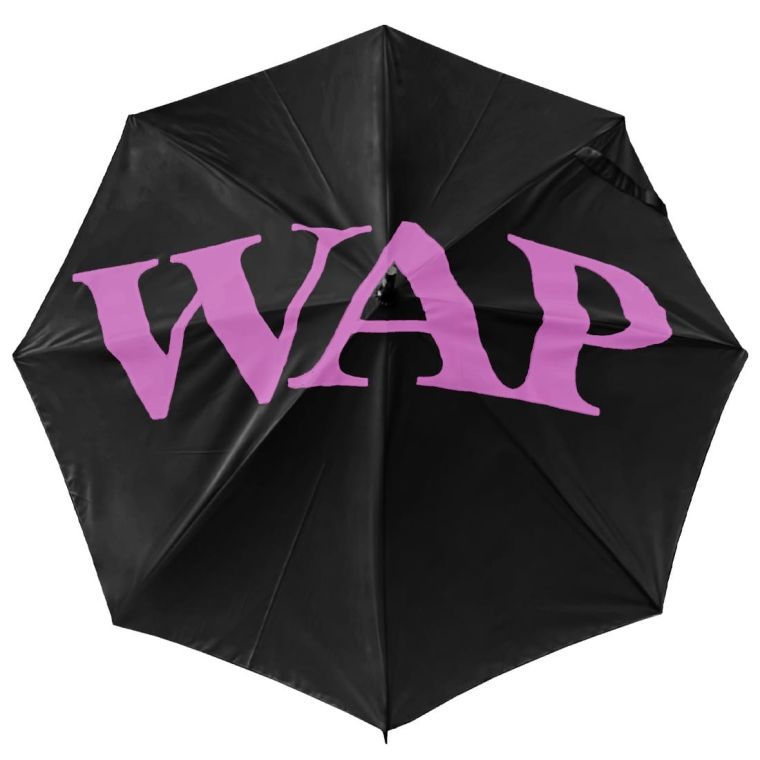 Cardi B & Megan Thee Stallion WAP Merch