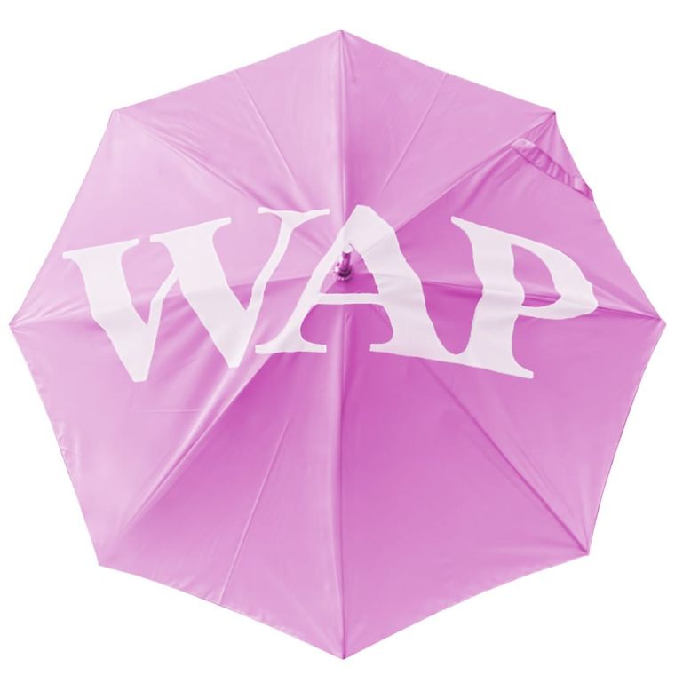 Cardi B & Megan Thee Stallion WAP Merch