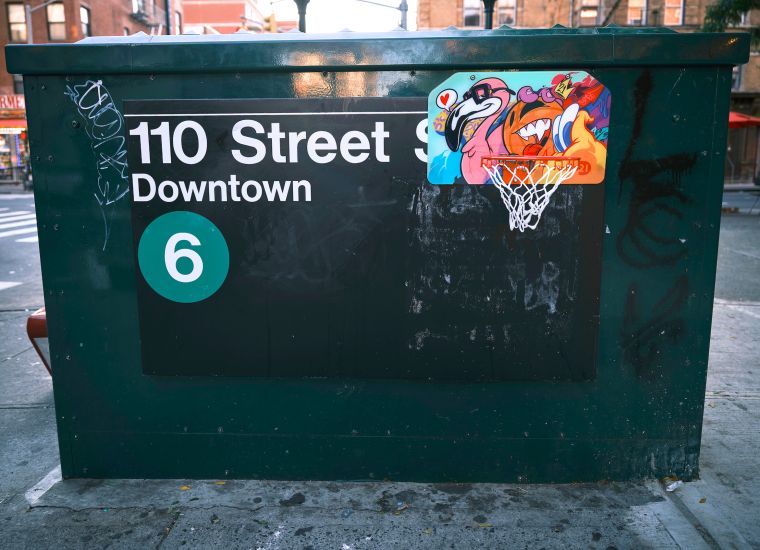 round21 Pivot Series Mini Hoops