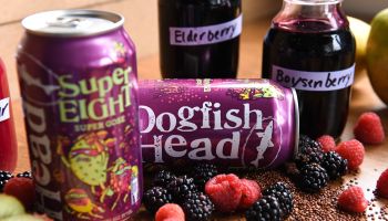 Dogfish Head Super Eight