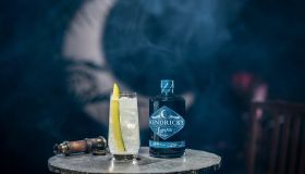 Hendrick's Lunar Gin National Cocktail Day