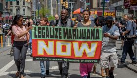 The NYC Cannabis Parade and Rally, New Yorks longest...