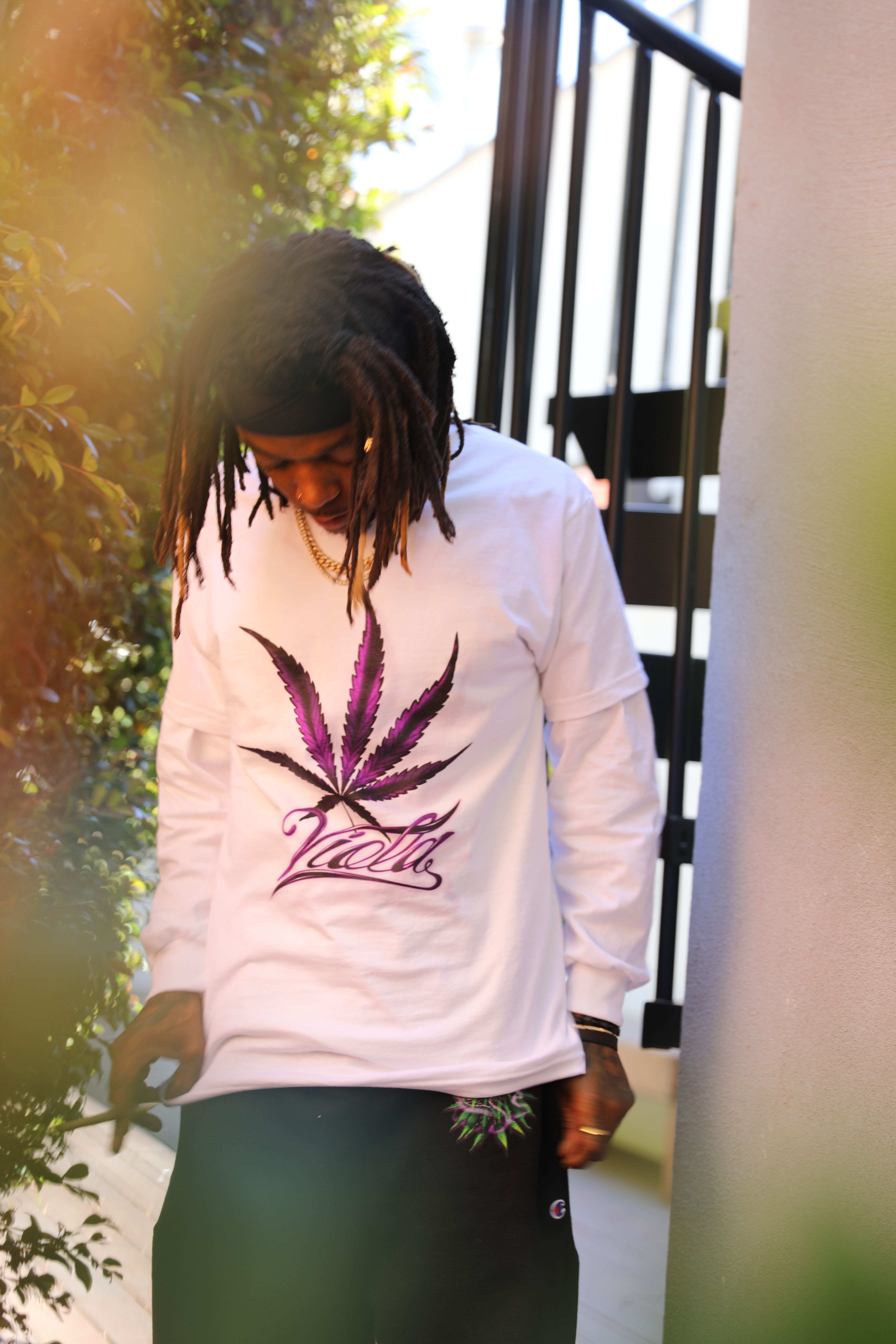 Viola x Anwar Carrots Launch 420 Collection