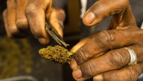 A Hemp Farm As New York Gets Closer To Legalizing Recreational Marijuana