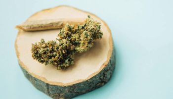 Marijuana joint and buds