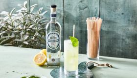 Jose Cuervo National Tequila Day Agave Straws