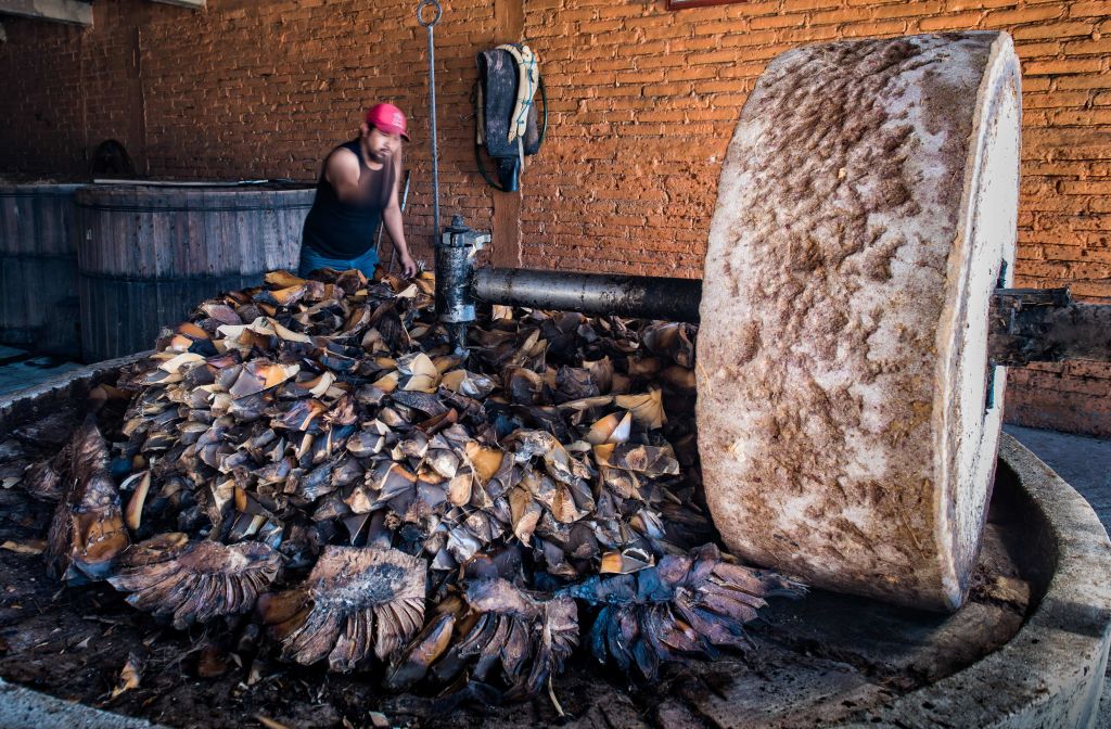 FILES-MEXICO-GASTRONOMY-MEZCAL