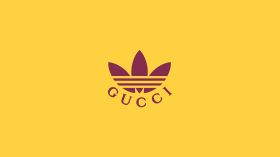 adidas for gucci