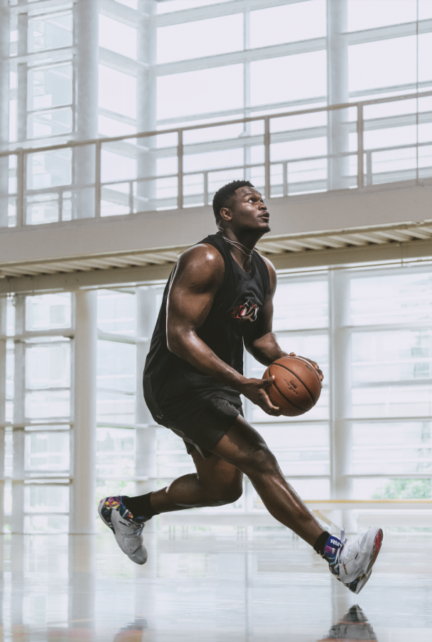 Jordan Zion 2