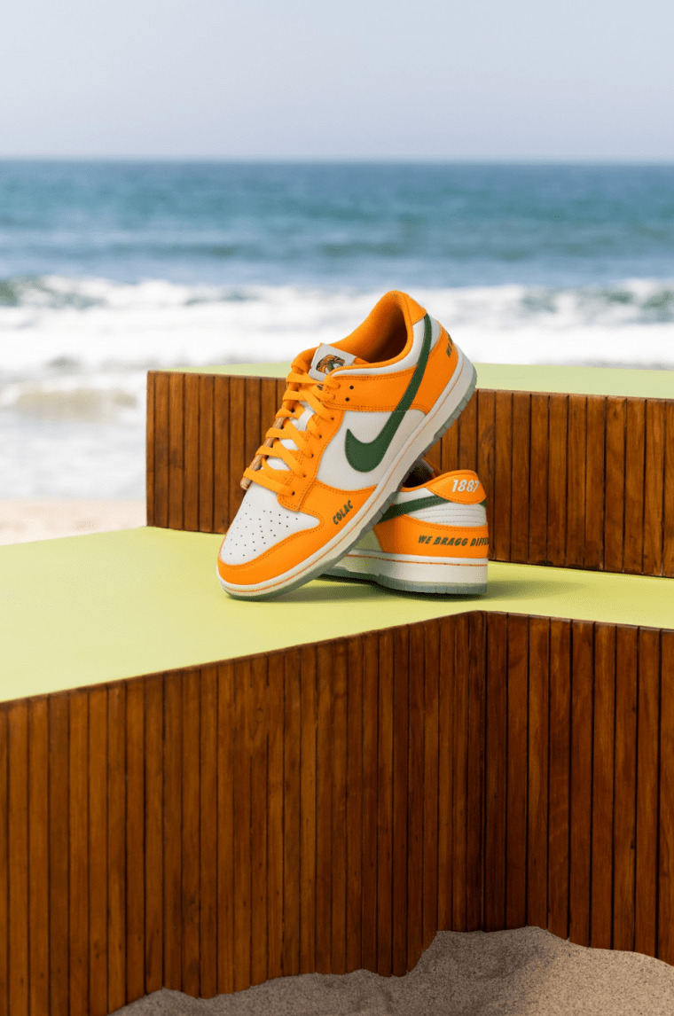 Nike Dunk Low ‘Florida A&M University'