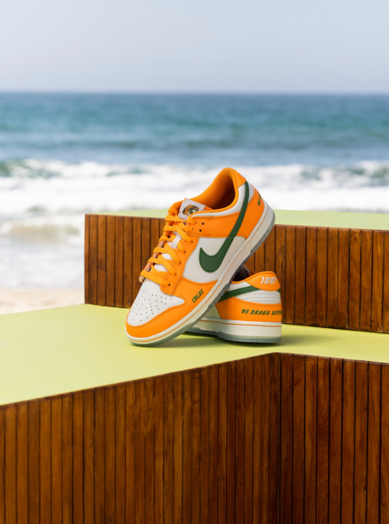 Nike Dunk Low ‘Florida A&M University'