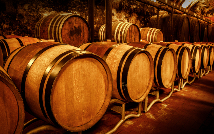 Vintage wine cellar featuring oak barrels