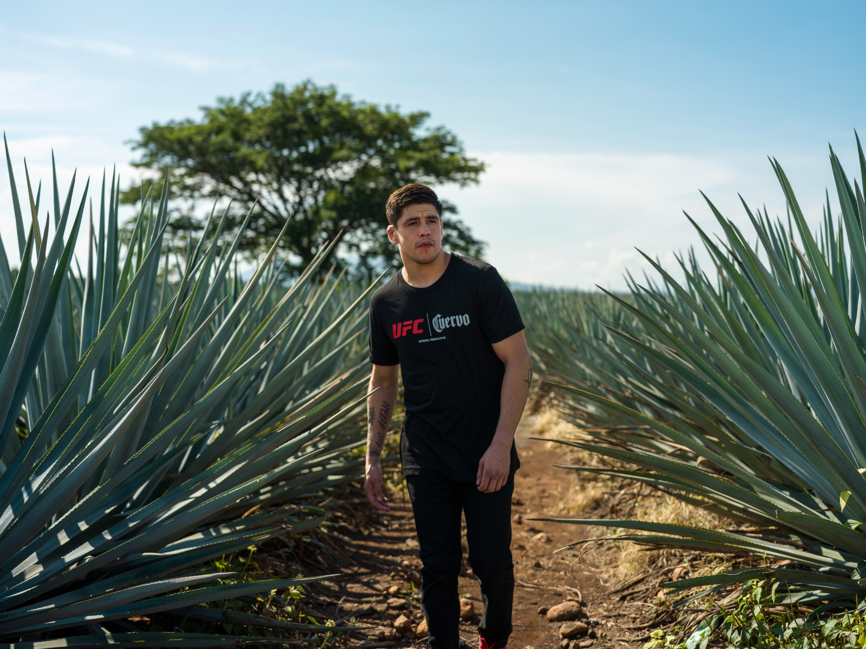Brandon Moreno x UFC x Jose Cuervo