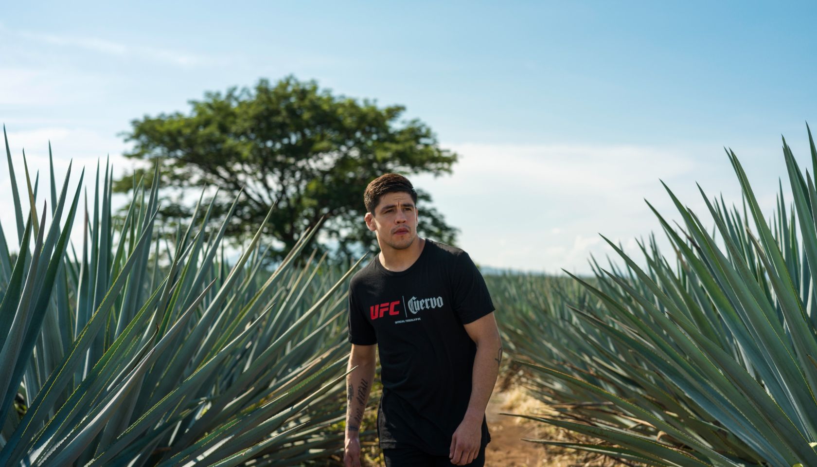 Brandon Moreno x UFC x Jose Cuervo