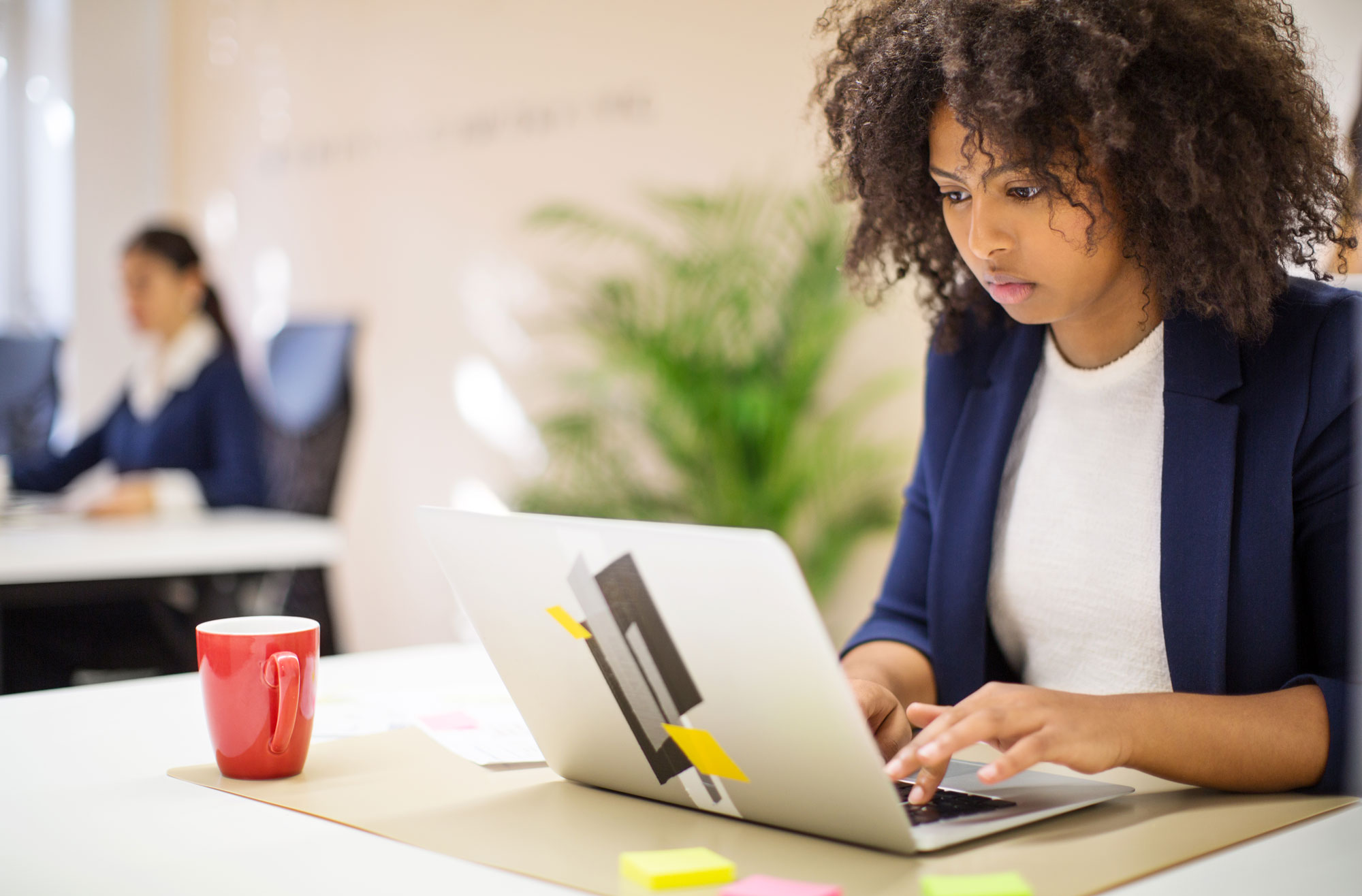 One Yard: Advice from Alums