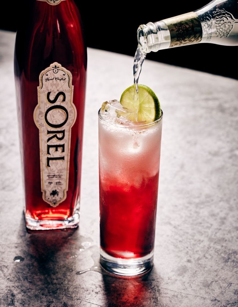 Sorel Hibiscus Mule