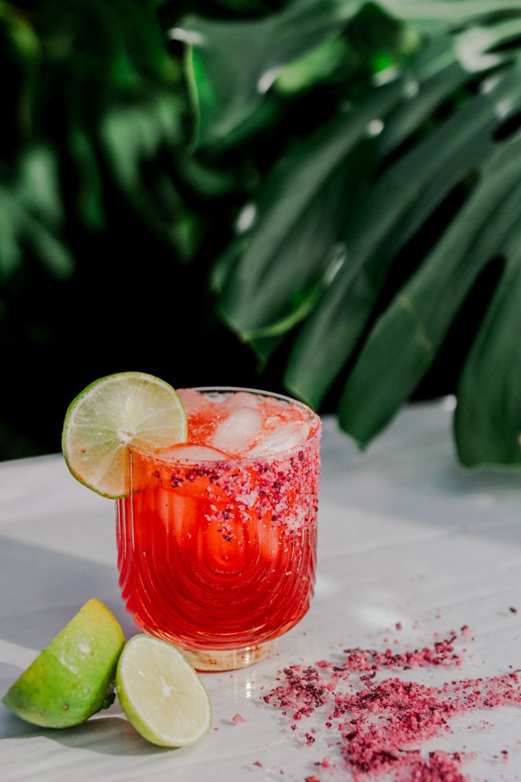 Hibiscus Margarita
