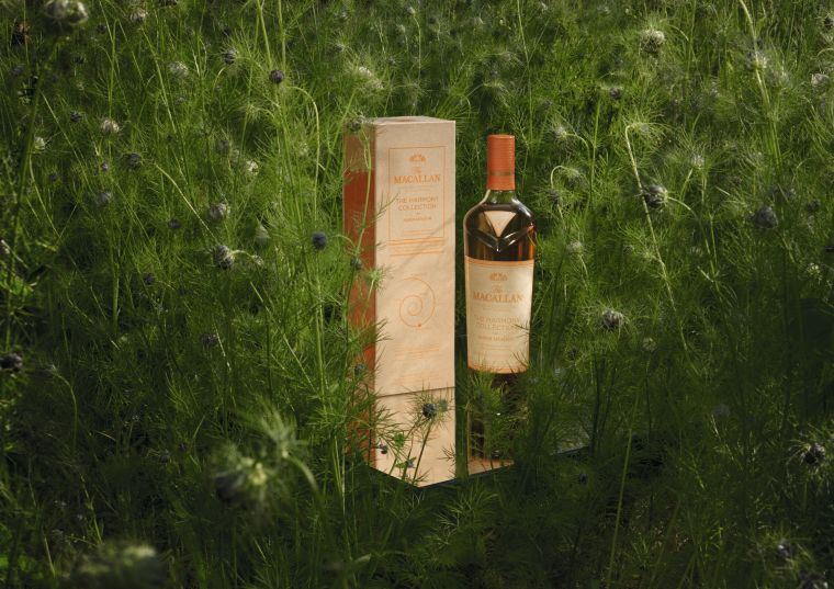 The Macallan Harmony Collection Amber Meadow