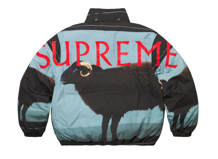 Supreme Spring/Summer 2025 Collection