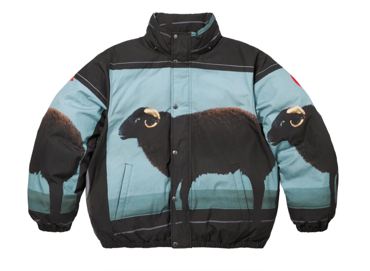 Supreme Spring/Summer 2025 Collection