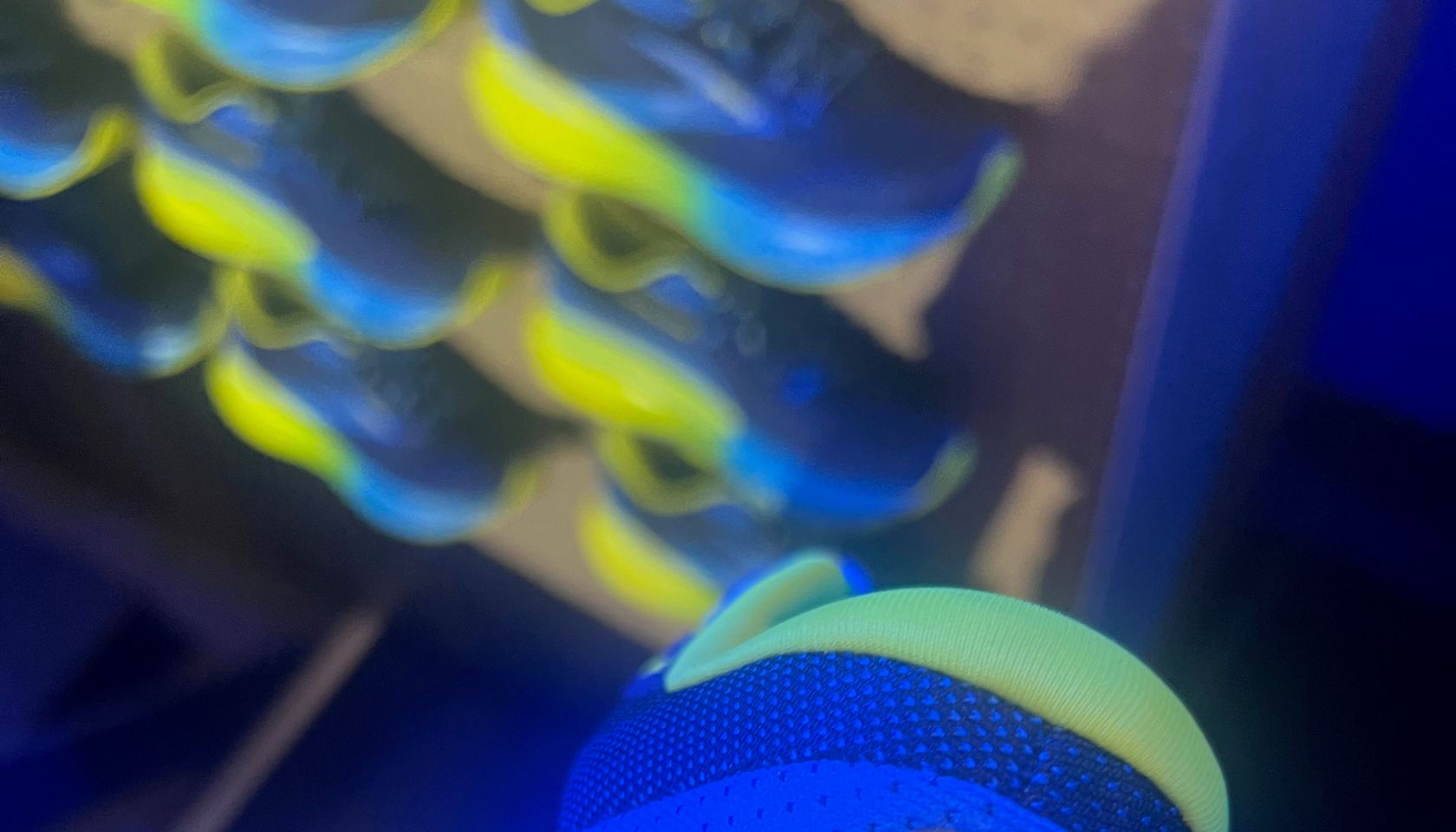 runDisney x Brooks Adrenaline GTS 24 runDisney