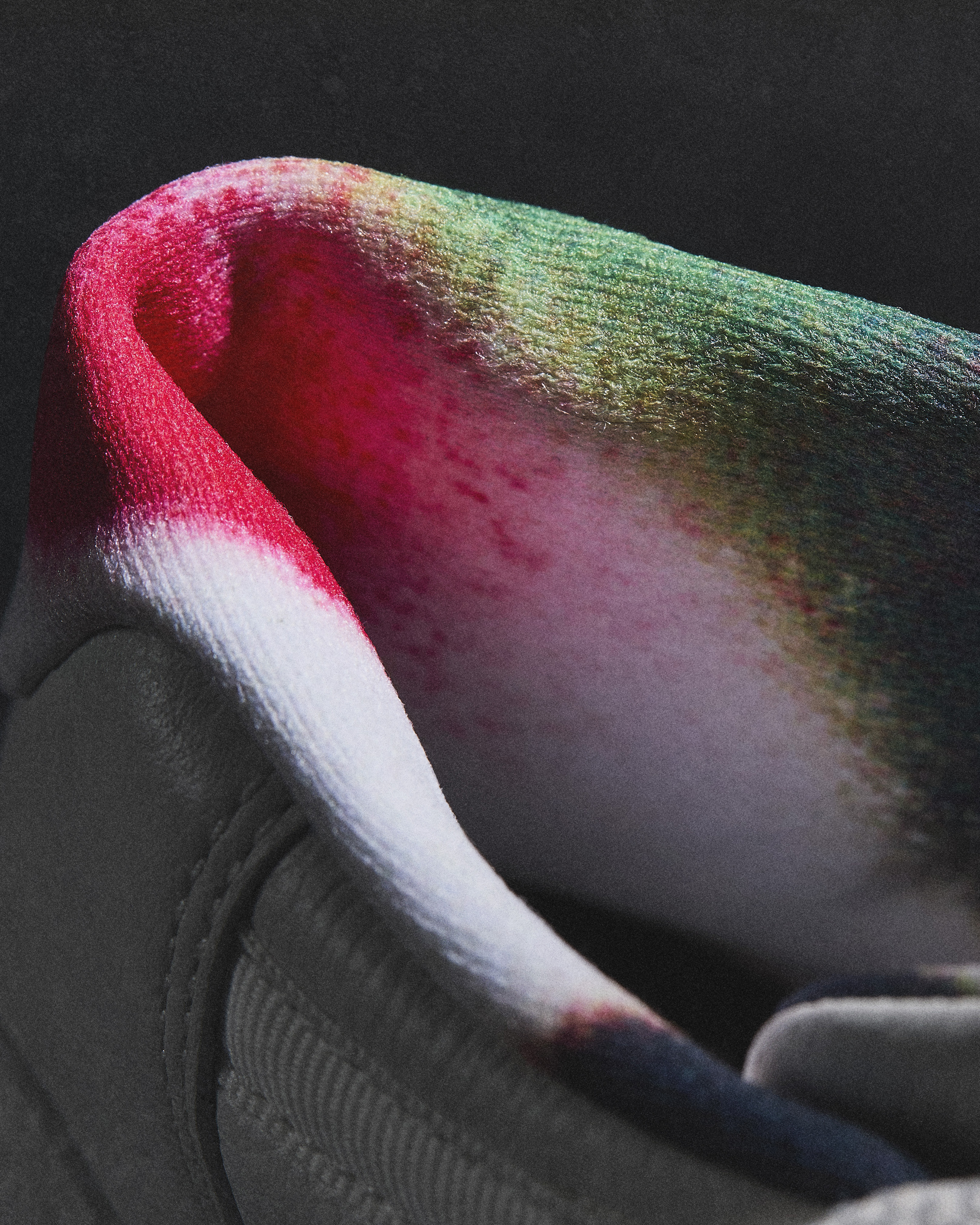 Air Jordan 11 30th Anniversary Collection