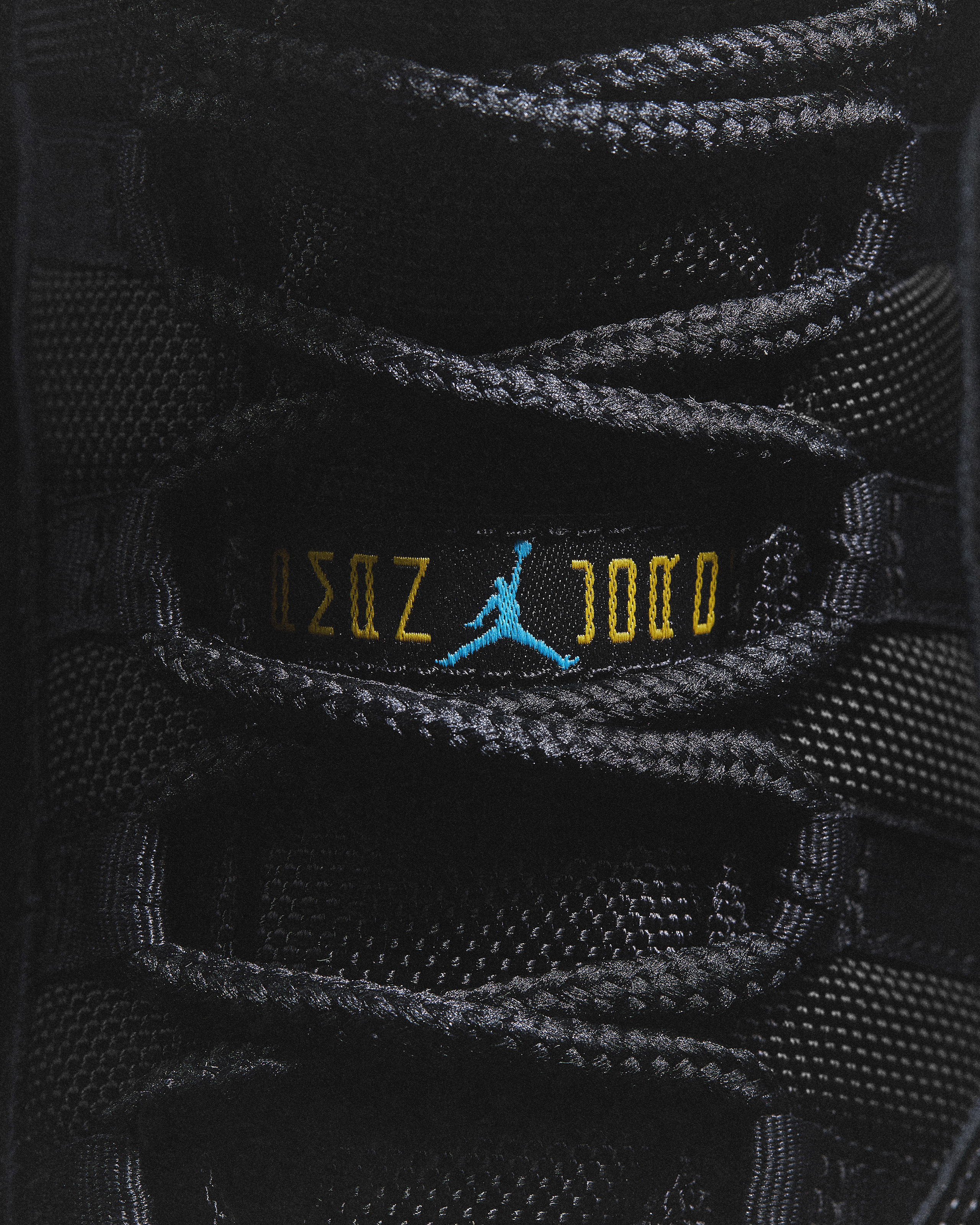 Air Jordan 11 30th Anniversary Collection