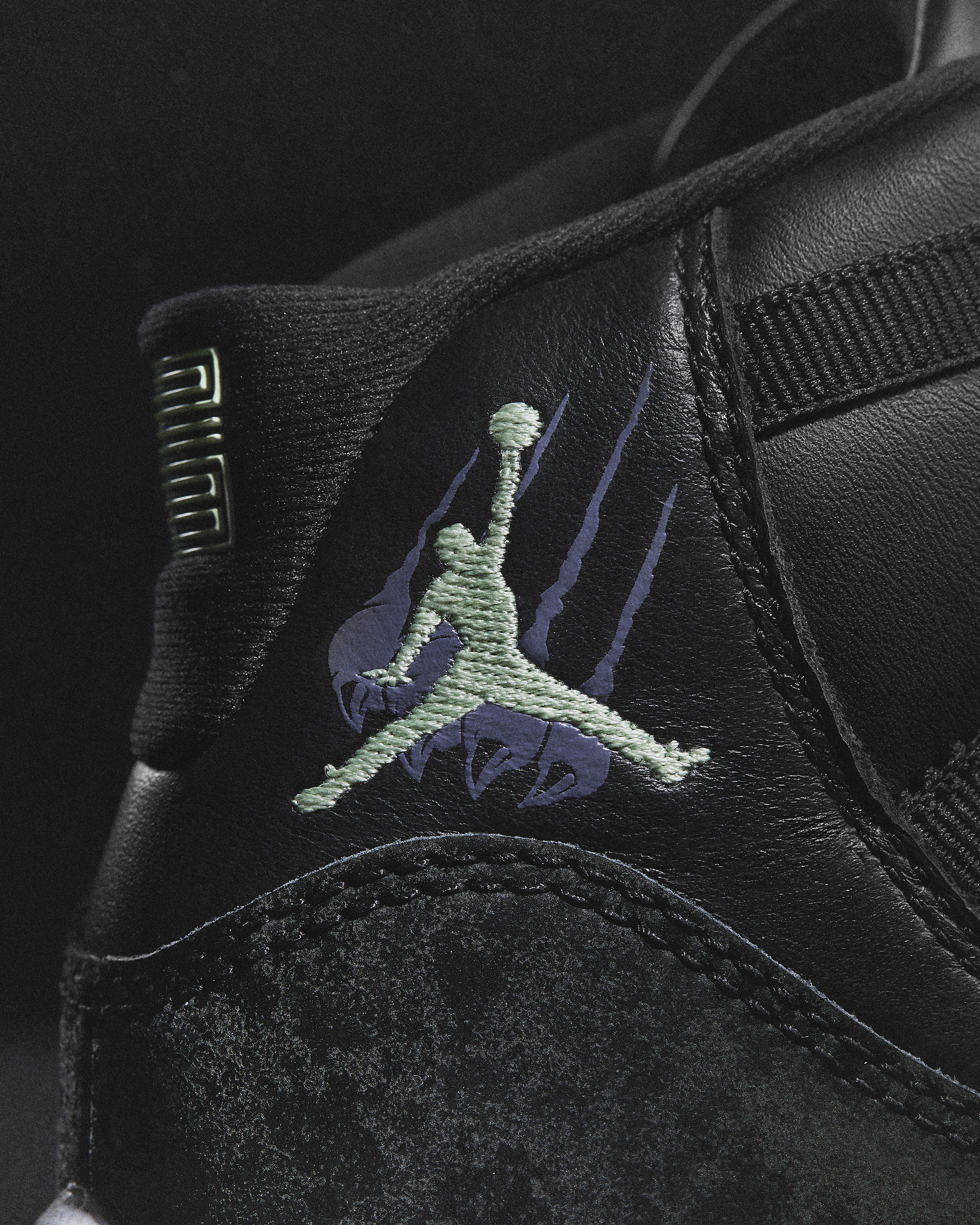 Air Jordan 11 30th Anniversary Collection