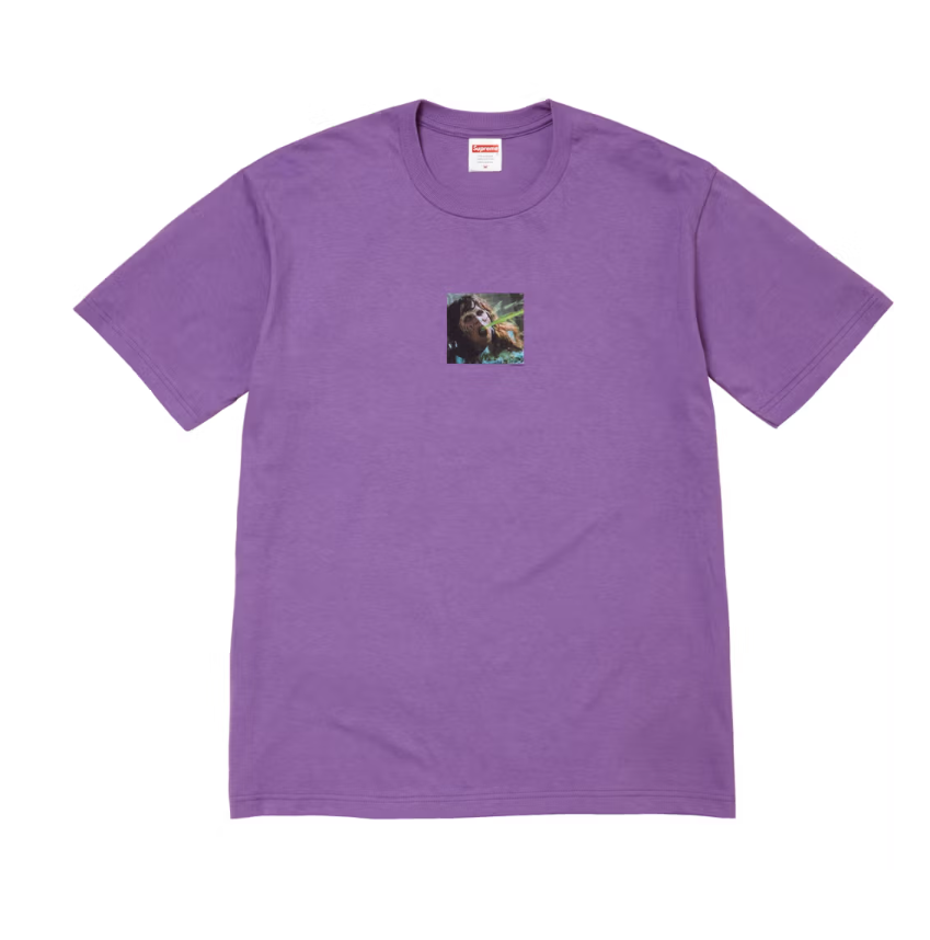 Supreme Fall Tee Collection 2025