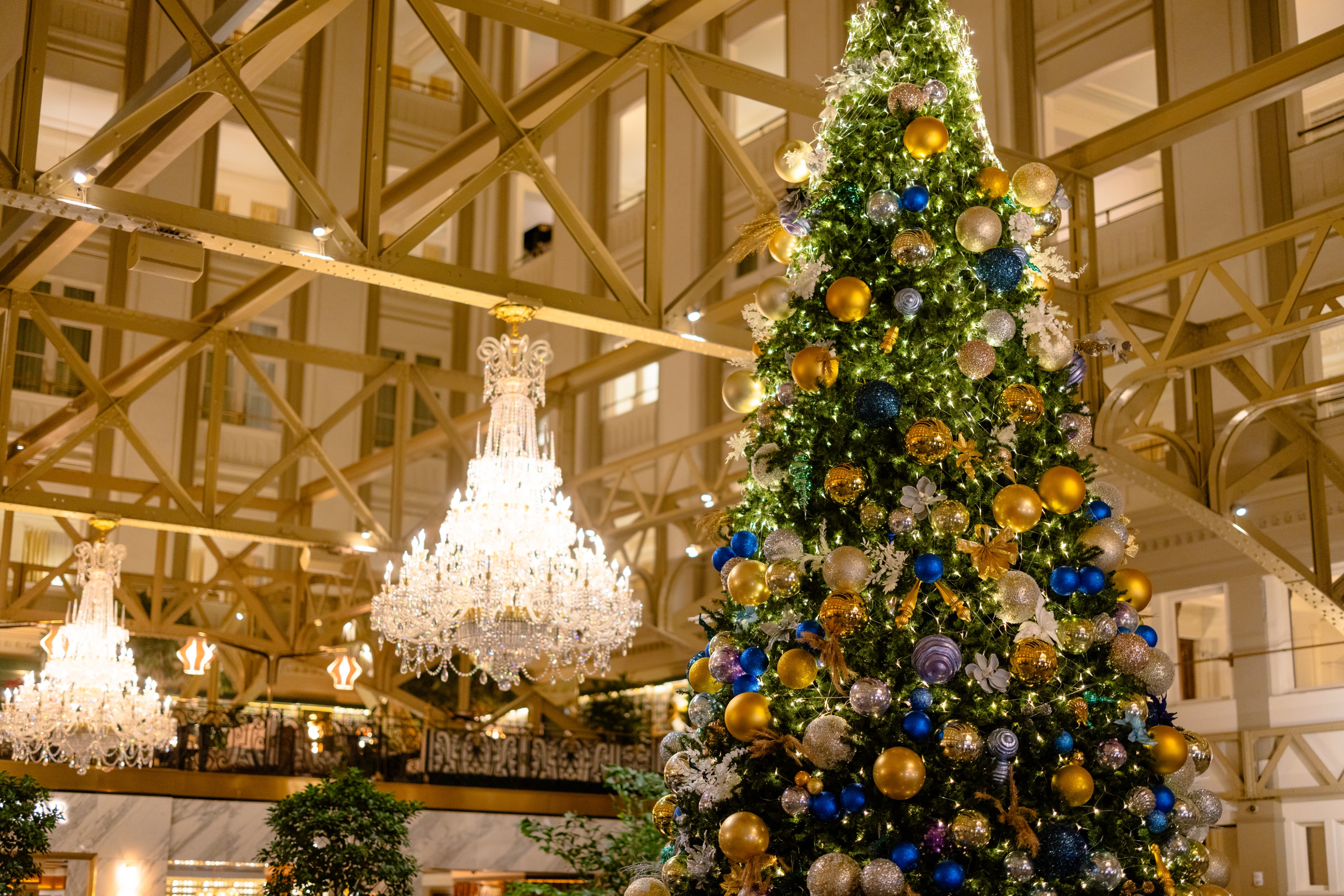 Waldorf Astoria DC Holiday Spectacular