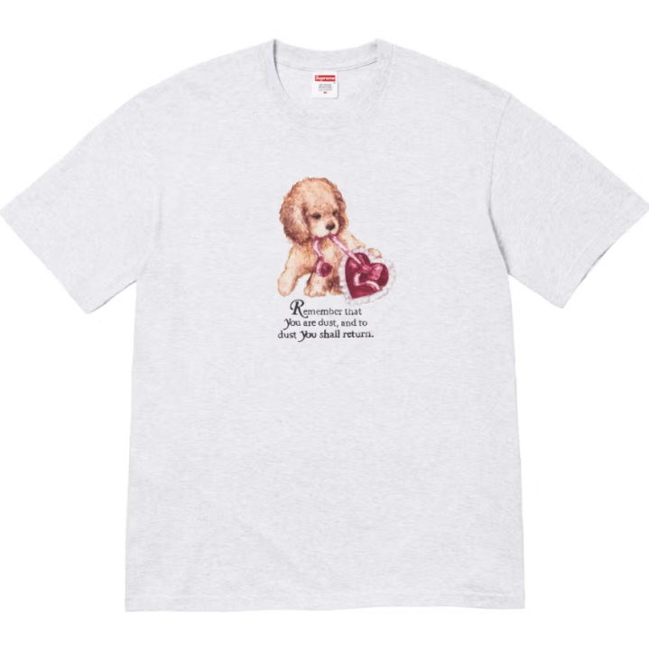 Supreme Winter 2025 Tees