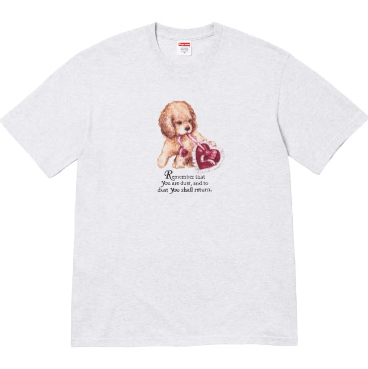 Supreme Winter 2025 Tees