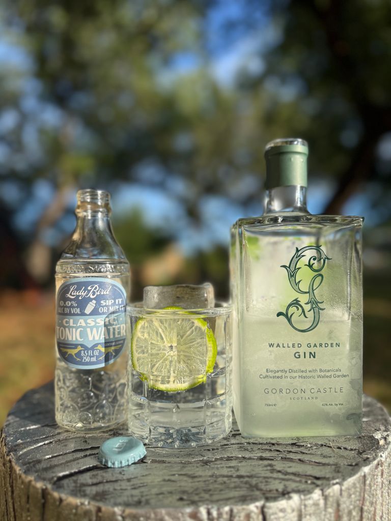 Frozen Gin and Tonic 2